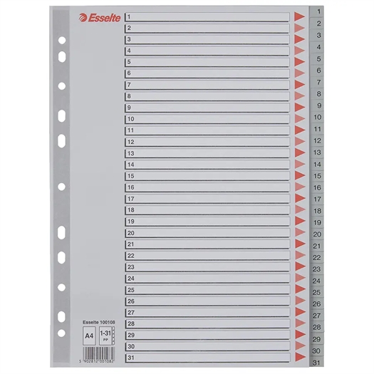 Esselte PP Register 100108