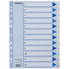 Esselte PP Register 100136